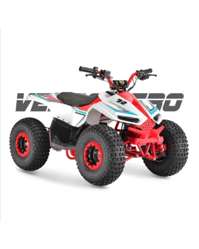 MINI ATV - Quad - VELOCIFERO Gasoline 110cc